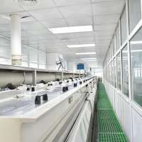 引线框架表面处理能力